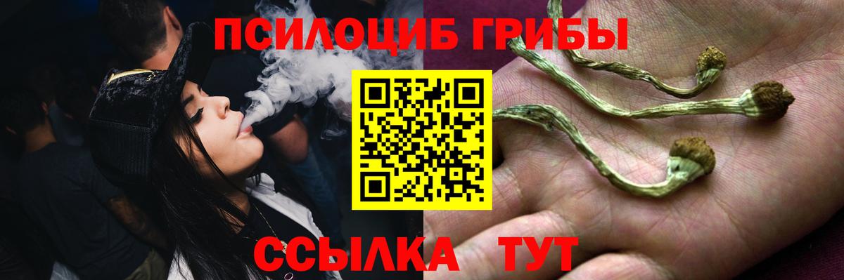 Отрадное  Псилоцибиновые грибы Cubensis  Вход с VPN 