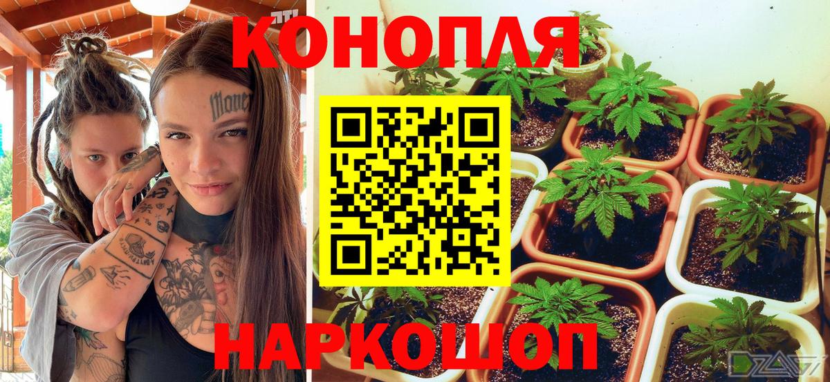 Отрадное  Марихуана SATIVA & INDICA  Вход с VPN  Шишки марихуана сатива  Бошки марихуана ГИДРОПОН 